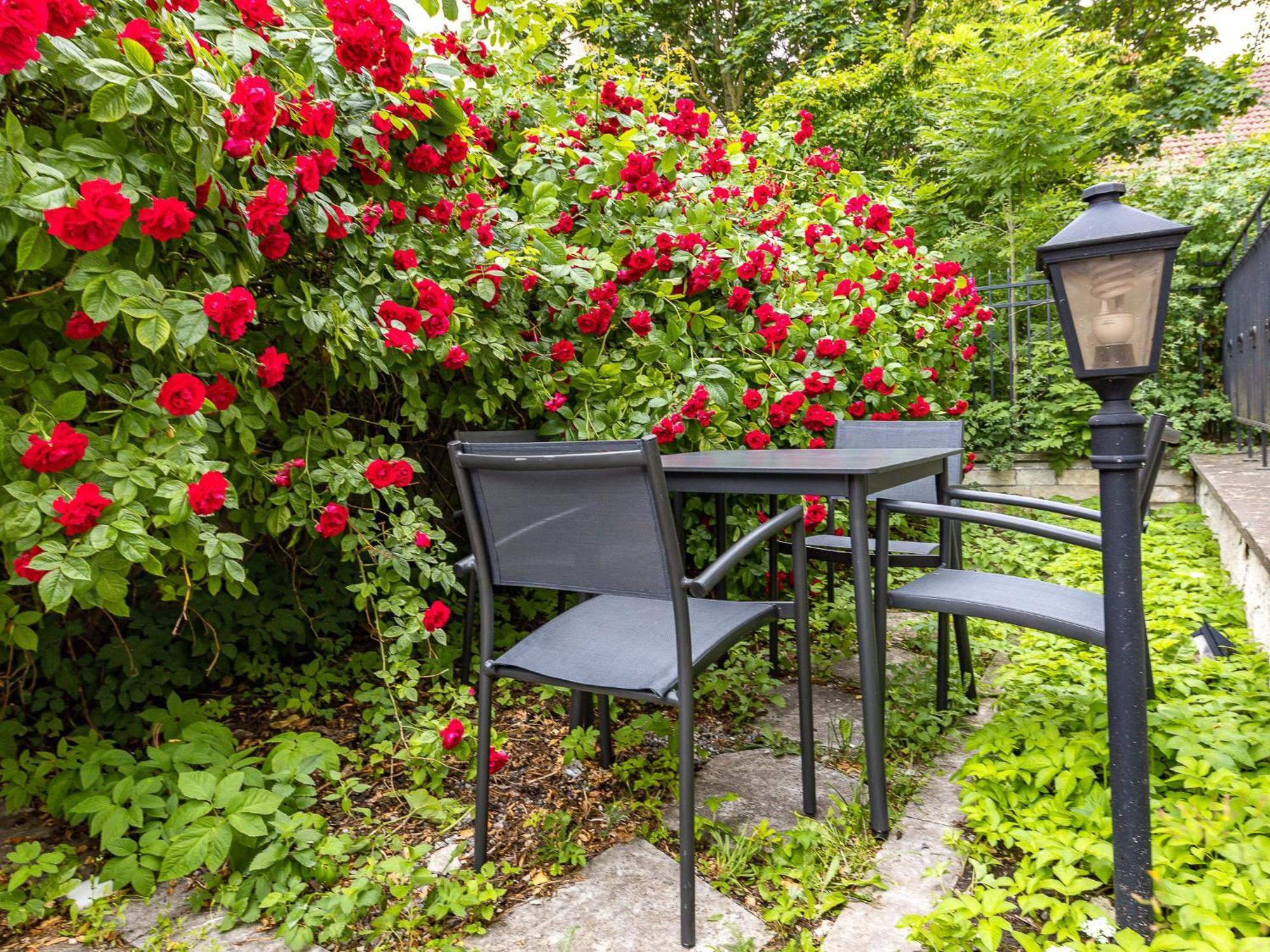 Tallinnhousing Old Town Elegance Vana-viru Apartment Tallinn